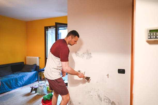 Best Industrial Mold Remediation in Oglesby, IL
